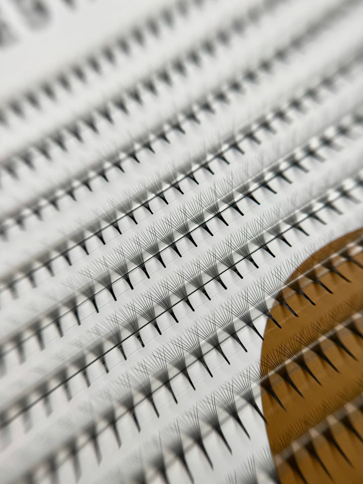 10D "Top Pestañas" Abanicos Narrow fans (premade fans) 1200 ananicos/ caja - Top PestañasTop Pestañas