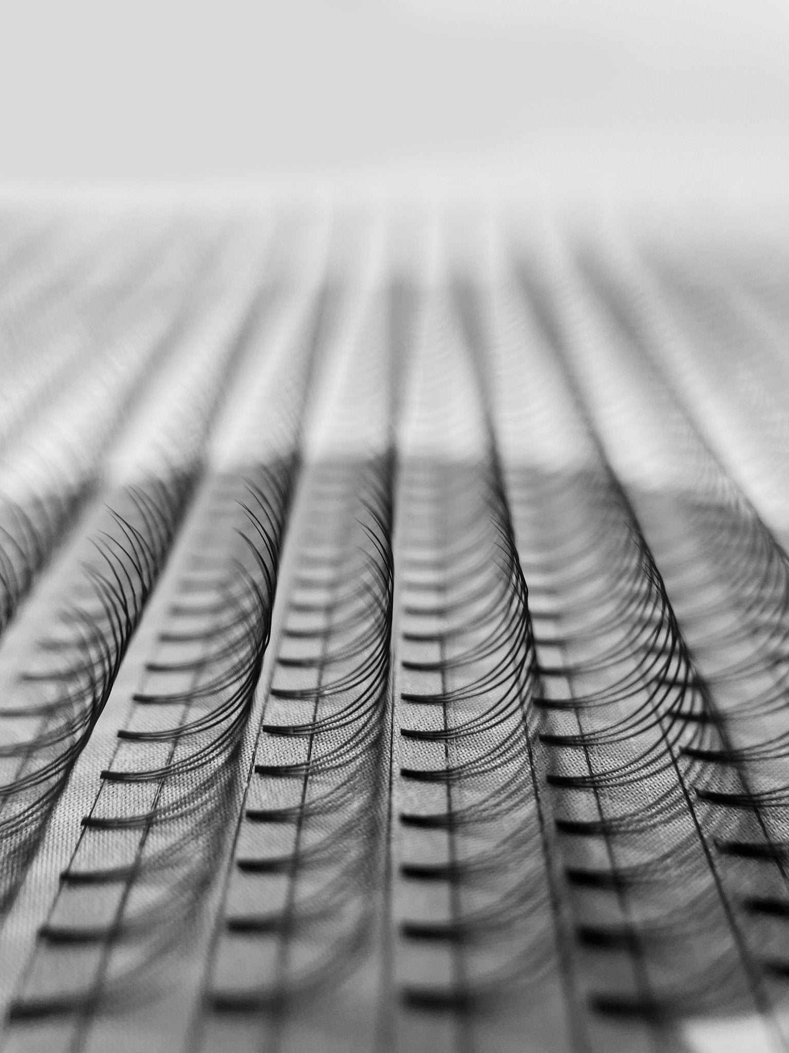 3D Abanicos “Top Pestañas” pre montados (premade fans) - Top PestañasTop Pestañas