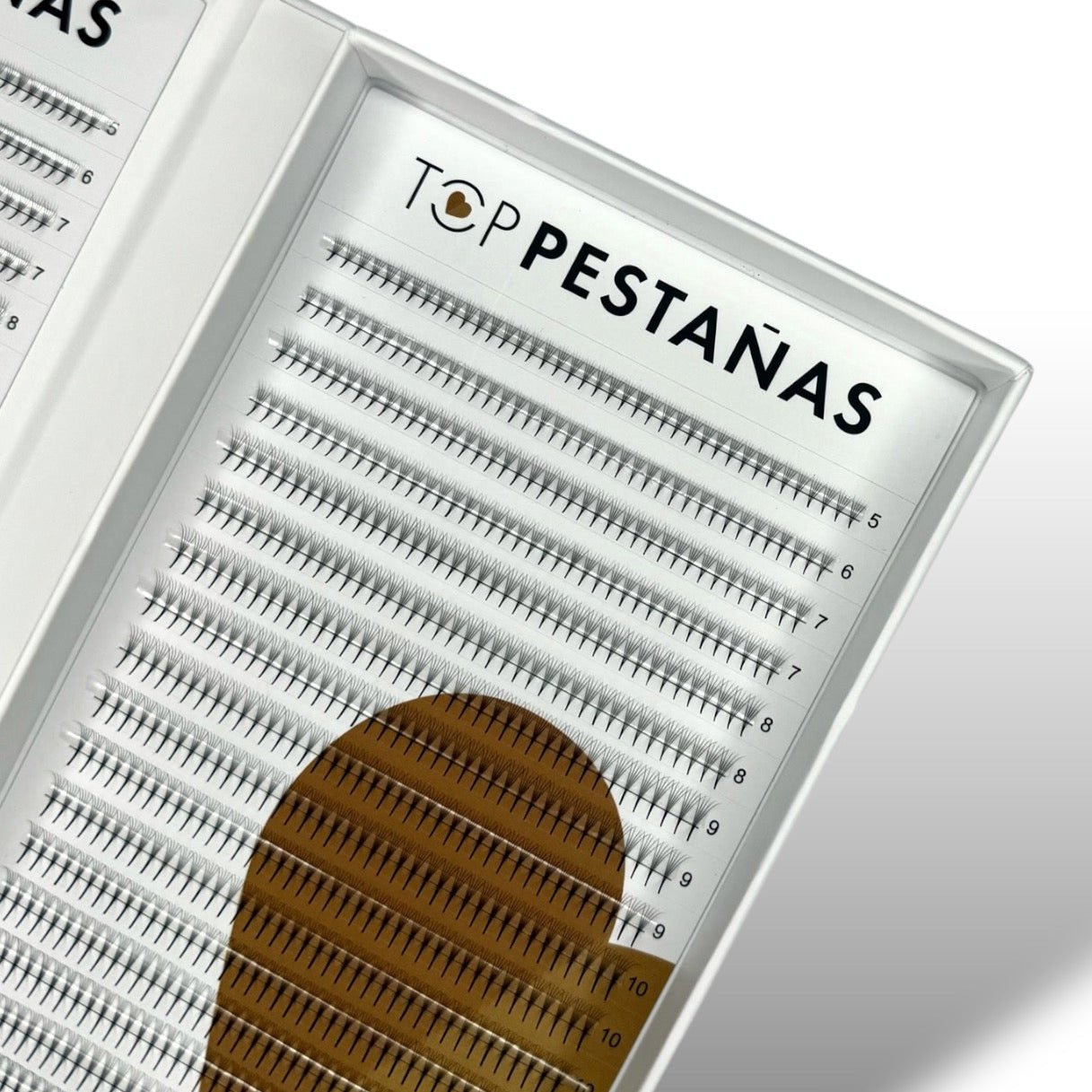 5D "Top Pestañas" Abanicos Narrow fans (premade fans) 1600 ananicos/ caja. - Top PestañasTop Pestañas