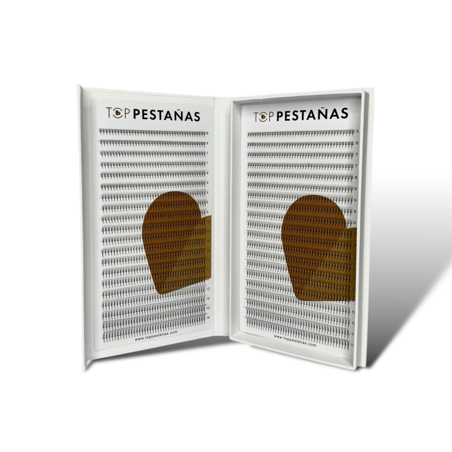 5D "Top Pestañas" Abanicos Narrow fans (premade fans) 1600 ananicos/ caja. - Top PestañasTop Pestañas
