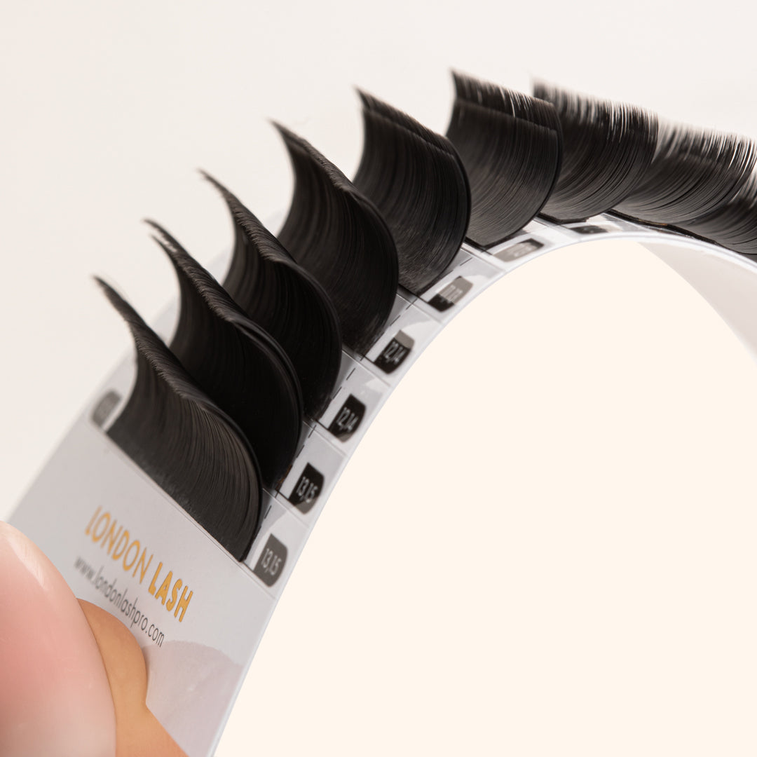 "Easy Fanning" Abanicos automontables de London Lash Pro (11 filas tipo Camelia)
