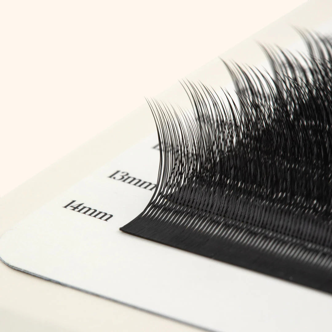 Kitten Lashes - Negro London lash