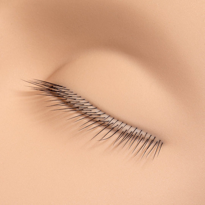 Cabeza maniquí para práctica con múltiples filas. - Top PestañasLondon Lash Pro
