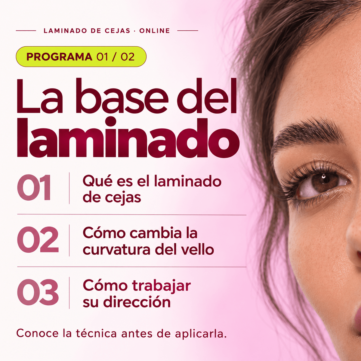 Curso Online “Laminado de cejas" (35% dto en 1 compra de productos, al inscribirse) - Top PestañasTop Pestañas