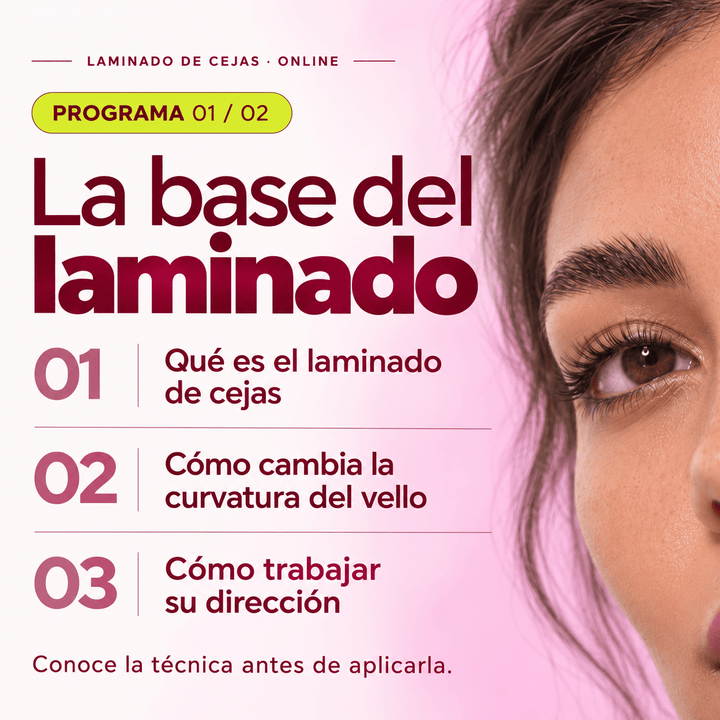 Curso Online “Laminado de cejas" (35% dto en 1 compra de productos, al inscribirse) - Top PestañasTop Pestañas