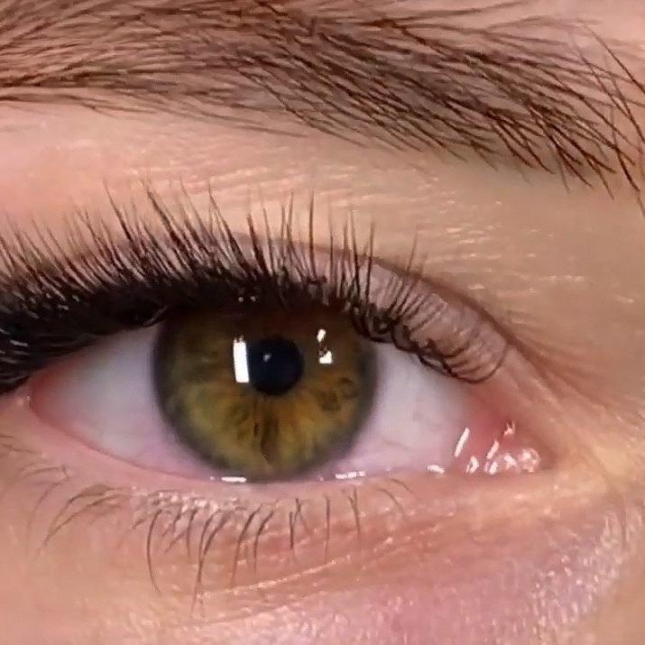 "Easy Fanning" London Lash Pro, 11 filas Camelia. - Top PestañasLondon Lash Pro