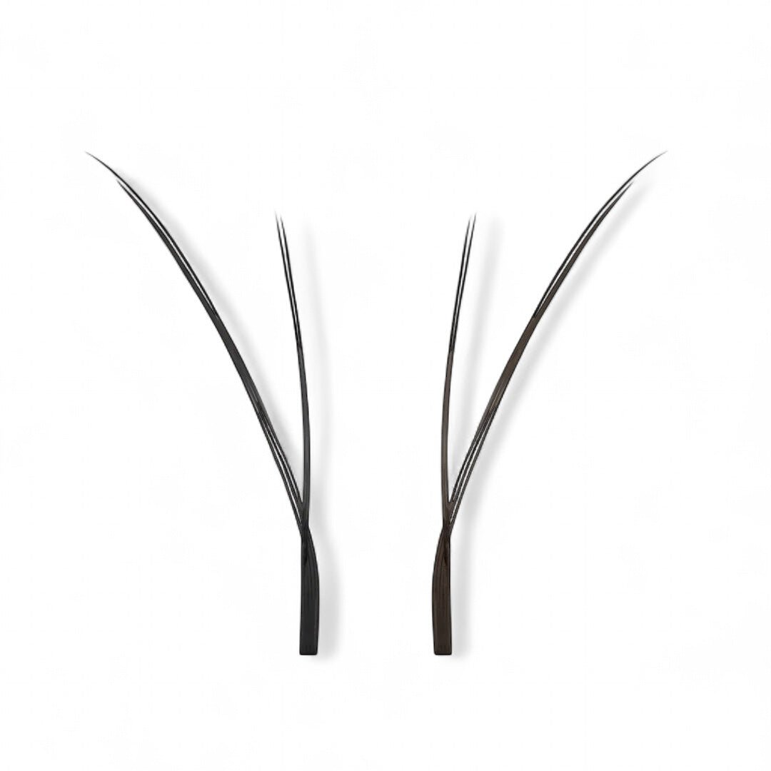 Kitten Lashes - Negro London lash - Top PestañasLondon Lash Pro
