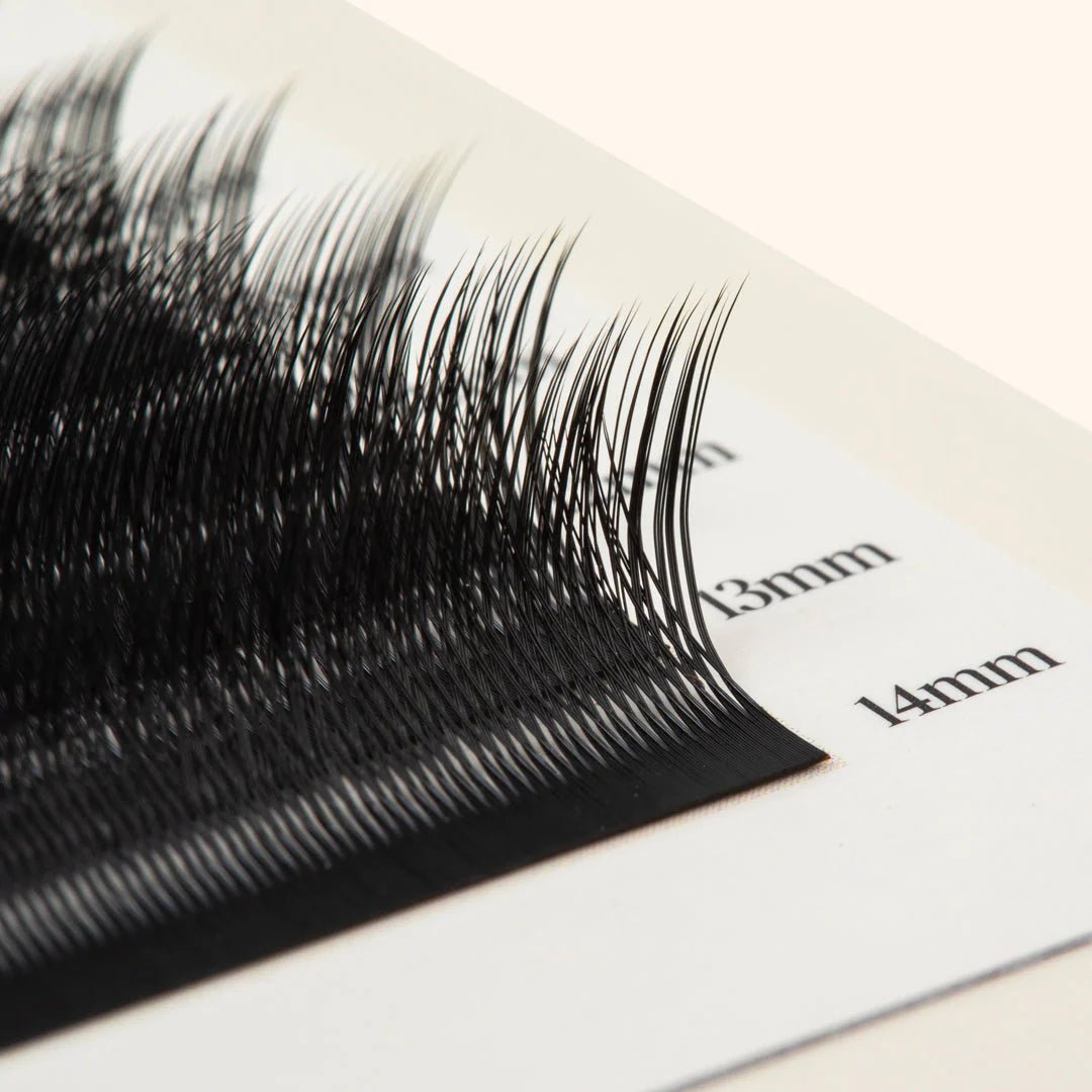 Kitten Lashes - Negro London lash - Top PestañasLondon Lash Pro