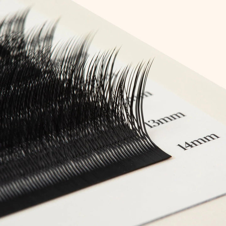 Kitten Lashes - Negro London lash - Top PestañasLondon Lash Pro