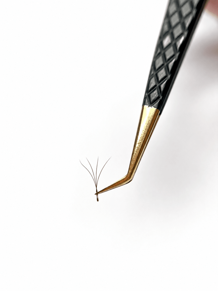 Marrones, Fibras Tecnológicas “Top Pestañas” W lashes 4D - Top PestañasTop Pestañas