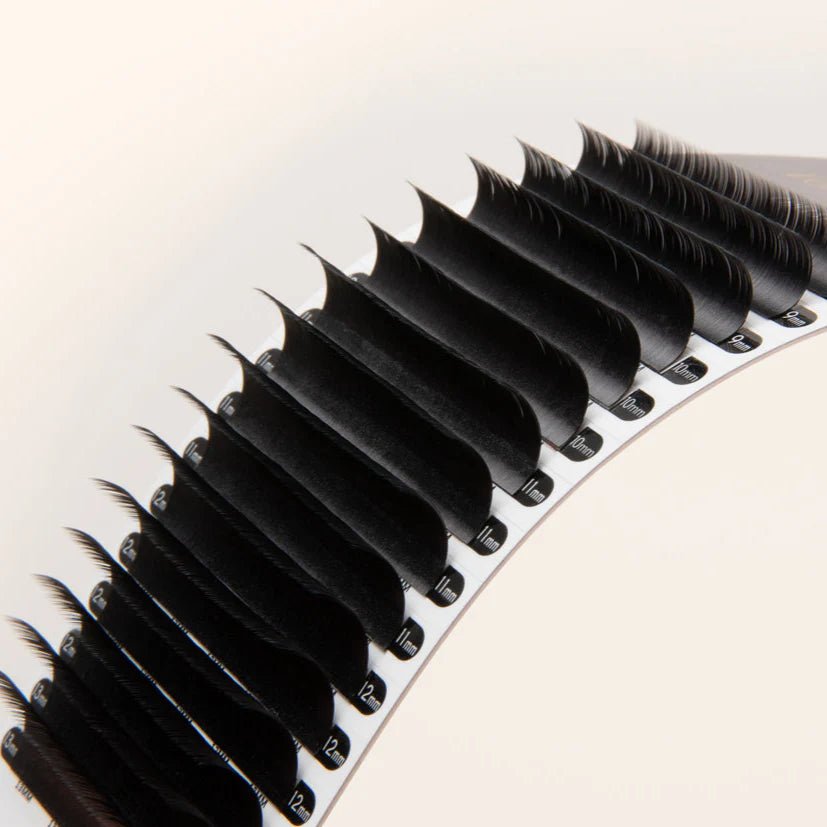 Pestañas Chelsea de Volumen/Clásicas MIX 8 - 13 mm 0.10 London lash - Top PestañasLondon Lash Pro