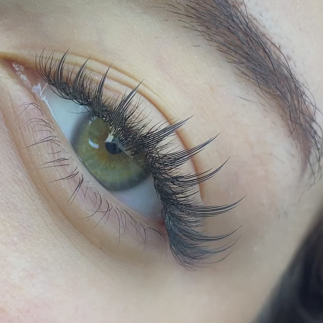 Anime Feather Lashes Premade Fans (12 filas).