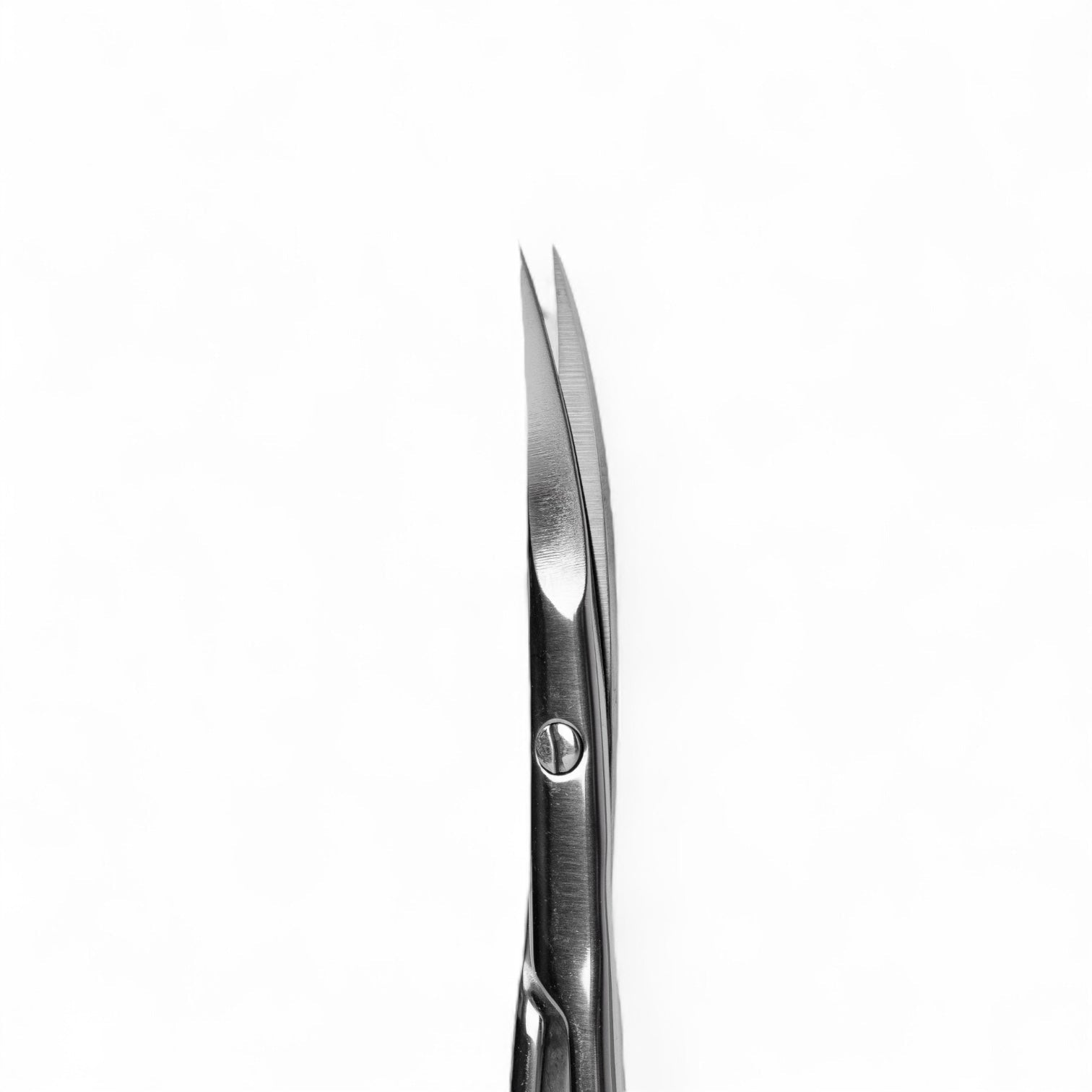 Professional cuticle scissors EXPERT 51 TYPE 3 Staleks - Top PestañasStaleks