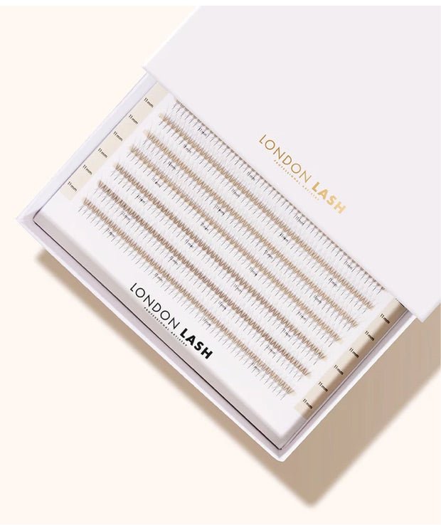 10D Mayfair "Londo Lash Pro" premade fans (640 /box) - Top PestañasLondon Lash Pro